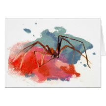 Brown Recluse Spider Cards