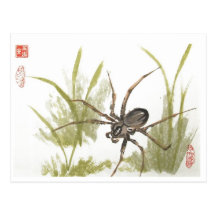 Brown Recluse Spider on White Postcards