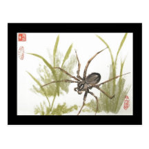 Brown Recluse Spider Postcard