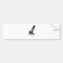 Brown’s Parrakeet by Edward Lear Bumper Sticker