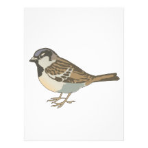 brown sparrow invitations