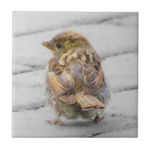 Brown Sparrow Tiles