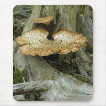 Brown Striped Shelf Fungus Coordinating Items Mousepads