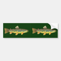 Brown Trout Fishing Bumper Sticker