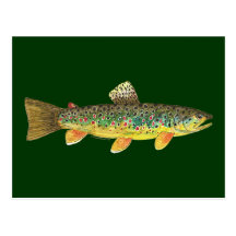 Brown Trout Fishing Postcards