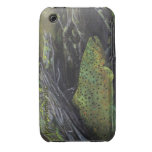 Brown trout IPhone case iPhone 3 Covers