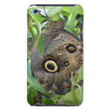 Brown Winged Butterfly iTouch Case iPod Case-Mate Cases
