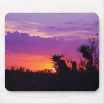 Brush Dancing in the Evening Light Mousepads