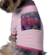 Bryce Canyon Glowing Pet Clothing