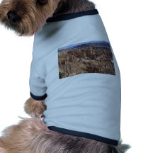 Bryce Canyon in The Winter Dog Clothing