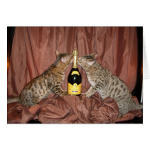 Bubbles for Bengals Cards