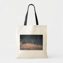 Buck confrontation at dawn tote bag