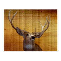 Buck Fever Post Card