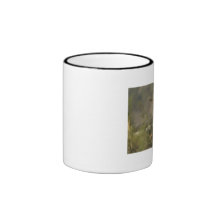 Buck in best light coffee mug