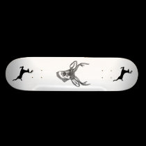 Buck Skateboard skateboards