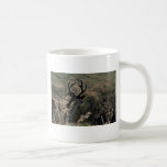Buck W/ Velvet Antlers Mugs