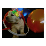 Bucket Penny Greeting Card
