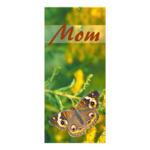 Buckeye Butterfly Full Color Rack Card