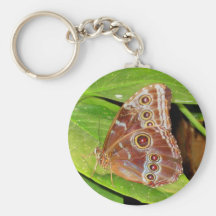 Buckeye Butterfly Key Chain