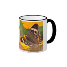 Buckeye Butterfly Lifecycle Coffee Mug
