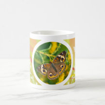 Buckeye Butterfly Mugs