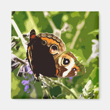 Buckeye Butterfly Refrigerator Magnet