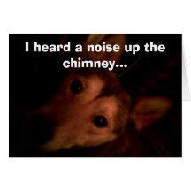 Bud, I heard a noise up the chimney... Cards