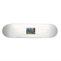 bud Skateboard