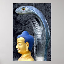 Buddha and Serpent Poster Print