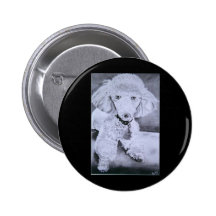 Buddy Buttons