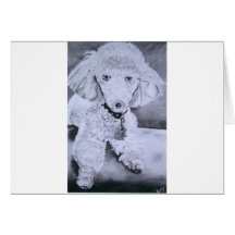 Buddy Cards