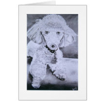 Buddy Greeting Cards