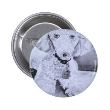 Buddy Pinback Button
