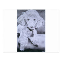 Buddy Postcards