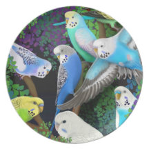 Budgerigar Parrots in Ferns Plate