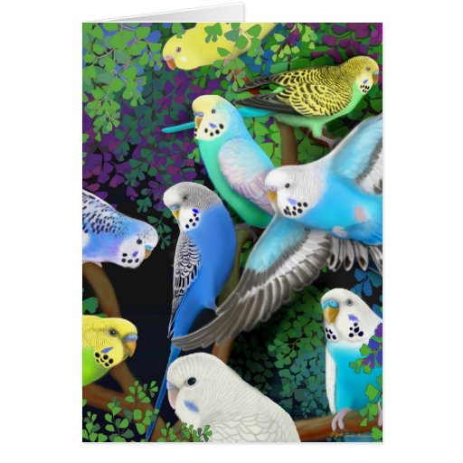 Budgerigars and Ferns Card