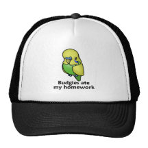 Budgies ate my homework mesh hats