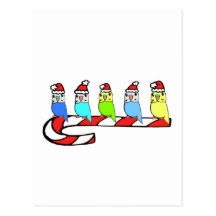 Budgies- Christmas Postcards