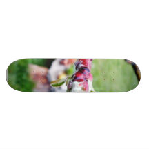 Buds Branches Raindrops Custom Skate Board