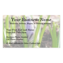 Buds In The Spring Crocus Garden Business Cards