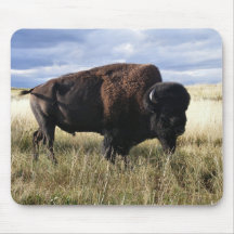 Buffalo Bull Mouse Pads