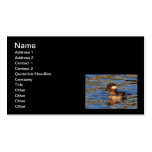 Buffalo Head Duck Business Cards