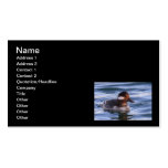 Buffalo Head Duck Business Cards