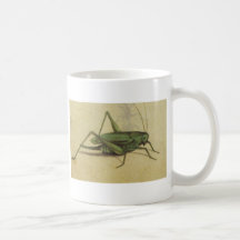 Bug Cricket Vintage Coffee Mug