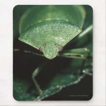 bug mousepad