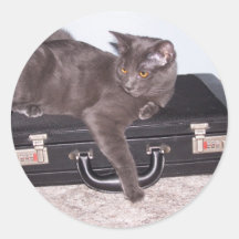 buisiness cat 2 sticker