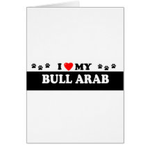 BULL ARAB CARD