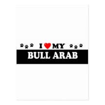 BULL ARAB POST CARDS