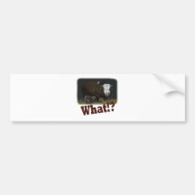 bull bumper sticker