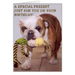 Bull dog birthday card